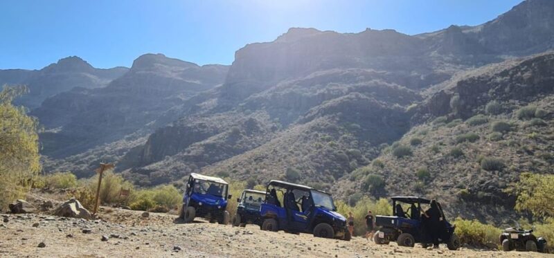 From Maspalomas: Volcanic Landscapes 4-Seater Buggy Tour - The Return and Flexibility of the Tour