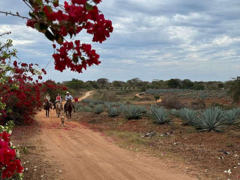 From Mazatlan: ATV & Horse Back riding with Tequila Tasting - Visiting the Mezcal Factory: Tasting and Tradition