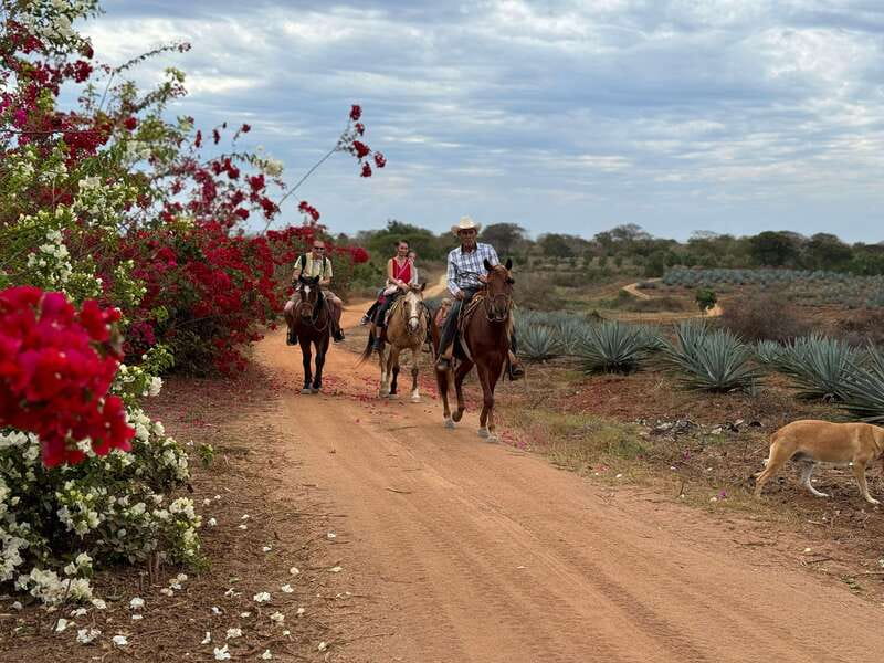 From Mazatlan: ATV & Horse Back riding with Tequila Tasting - Pacing, Physical Requirements, and Practical Tips