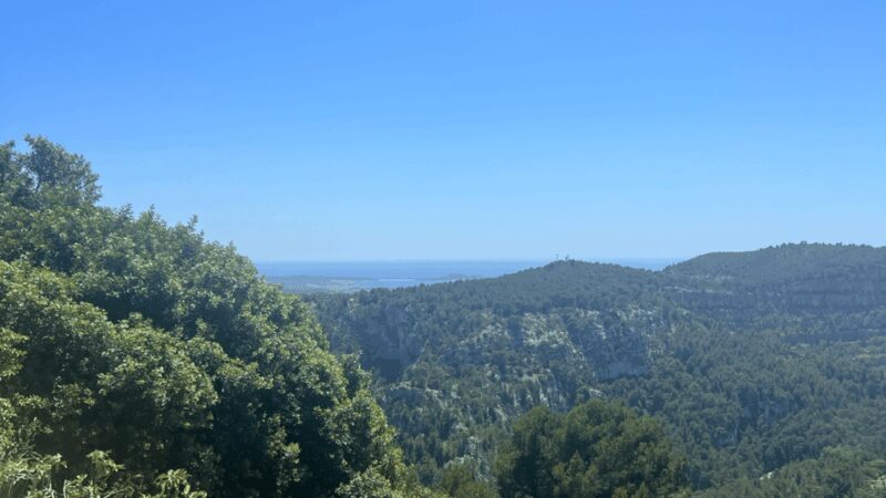 From medieval Evenos to Bandol wines : a taste of Provence - Discover the Charm of Cassis