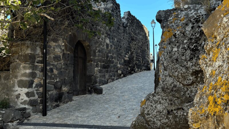 From medieval Evenos to Bandol wines : a taste of Provence - Easy Logistics and Group Options