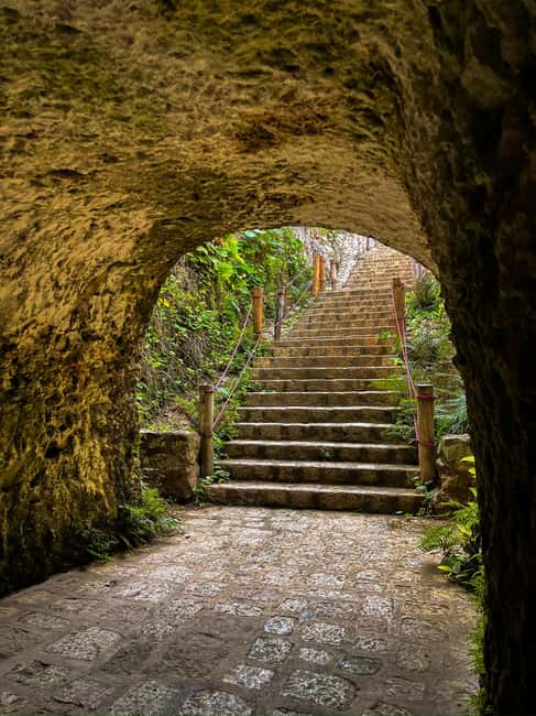 From Merida: 3 Cenotes - Summary of the Tours Strengths and Limitations