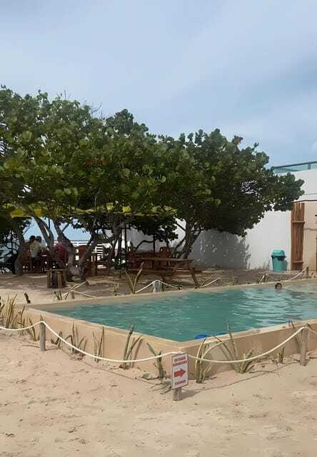 From Mérida: Beach Tour - Sunset and Free Time in Puerto Progreso