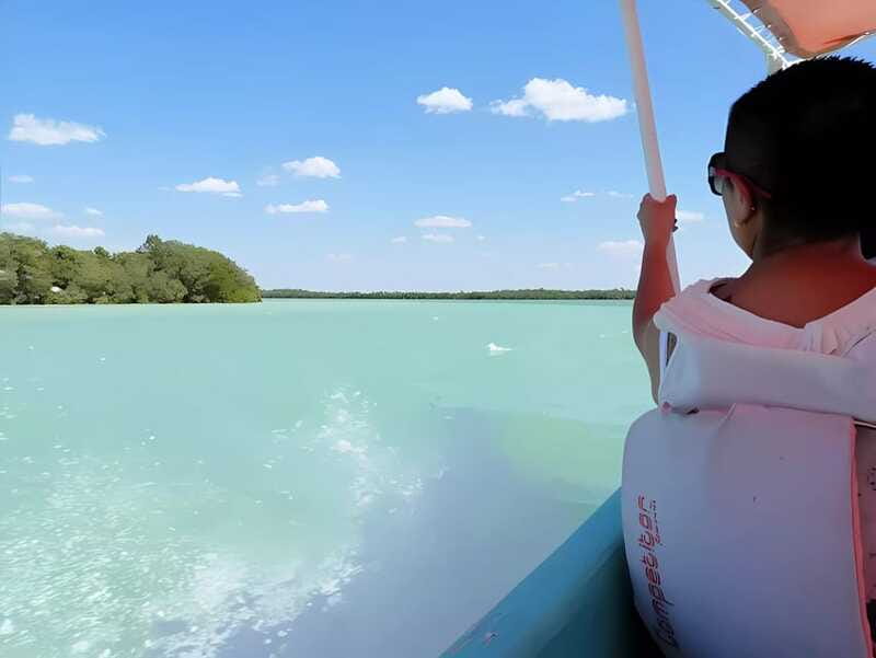From Mérida: Celestún, flamingos, and the beach - Navigating the Mangroves and Estuary