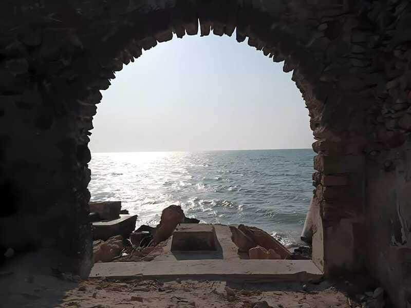 From Mérida: Celestún, flamingos, and the beach - Exploring Celestún’s Beaches and Local Cuisine