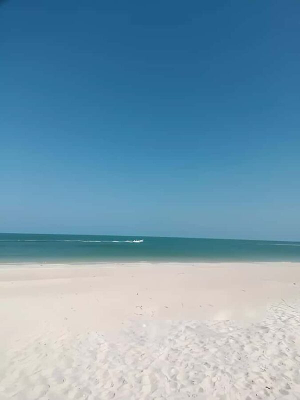 From Mérida: Celestún, flamingos, and the beach - The Mayan Clay Bath Experience