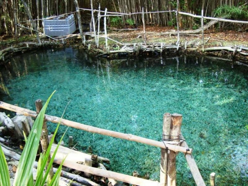 From Mérida: Dzibichaltún, El Corchito, and Progreso Trip - Explore the Mayan World and Coastal Beauty in Yucatan