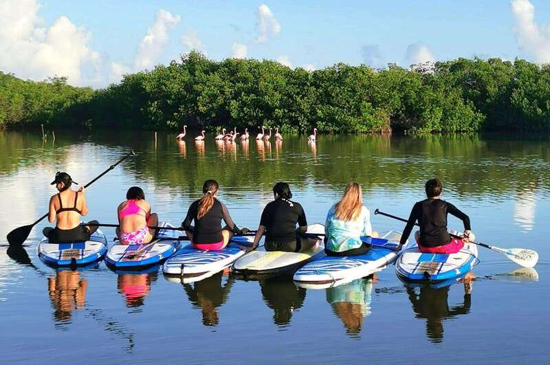 From Mérida: Paddel board, Sunshine and beach - Paddleboarding at Marina Laguna Mar: Watching the Sunrise Over Progreso