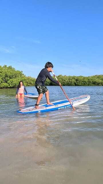 From Mérida: Paddel board, Sunshine and beach - Exploring Progreso’s Stunning Seascapes and Mangroves