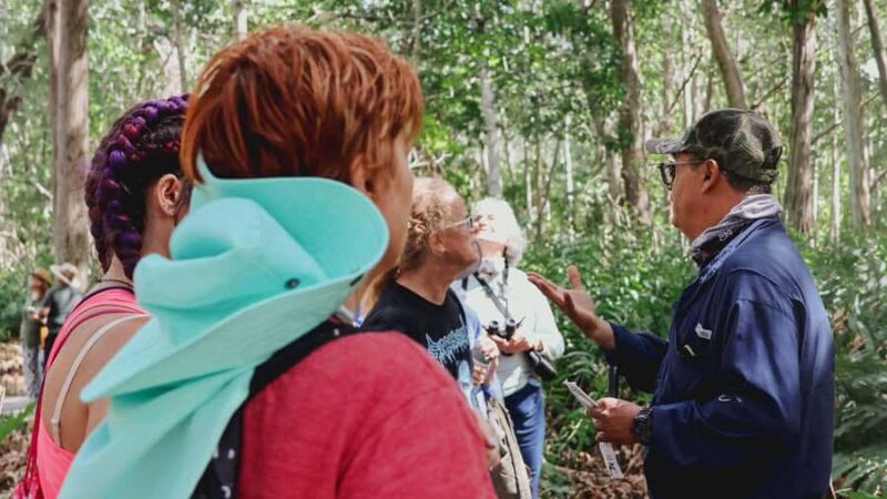 From Merida to Celestún: Biosphere, Flamingos & Beach Escape - Celestún Biosphere Reserve: A Natural Sanctuary