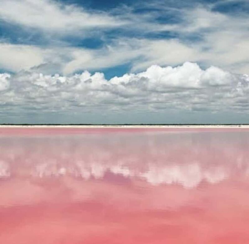 From Merida: Tour to Las Coloradas with Lunch & boat - Key Points