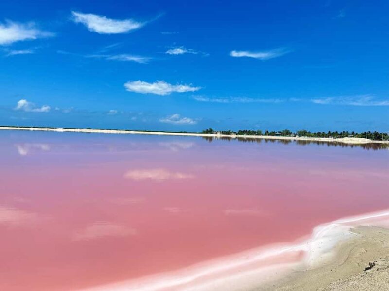 From Merida: Tour to Las Coloradas with Lunch & boat - Learning About Salt Production and Ecosystems