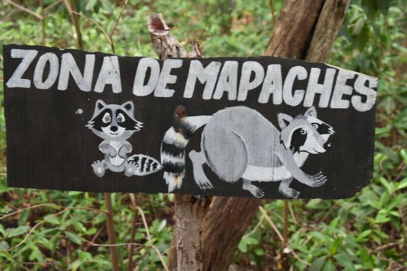 From Merida: Transfer to Celestun and Sisal - Discovering Sisal’s Maritime Heritage