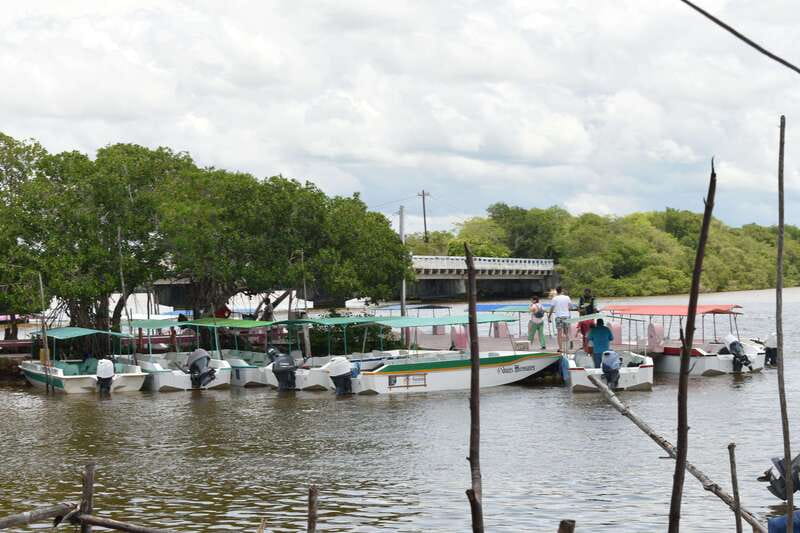 From Merida: Transfer to Celestun and Sisal - Flamingos and Wildlife Viewing in Celestun