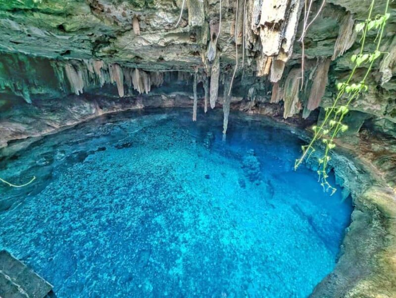 From Mérida:Explore 4 Rural Cenotes with a Traditional lunch - The Benefits of Visiting Rural Cenotes