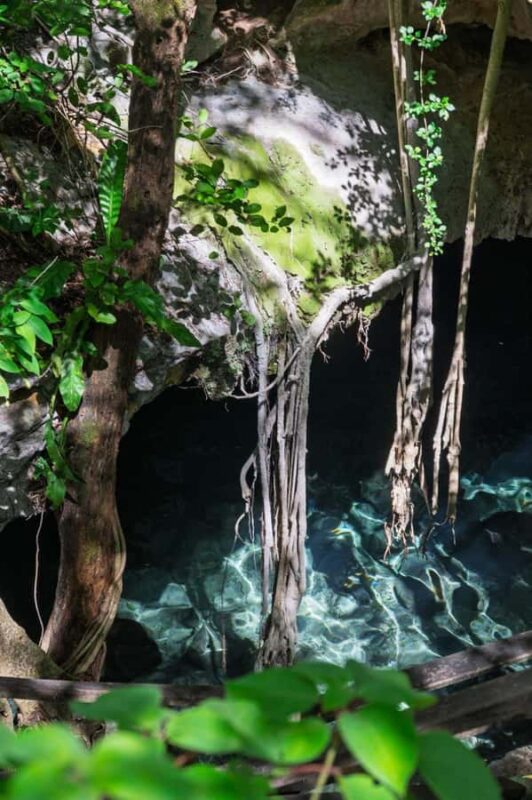 From Mérida:Explore 4 Rural Cenotes with a Traditional lunch - Practical Details and Booking Considerations