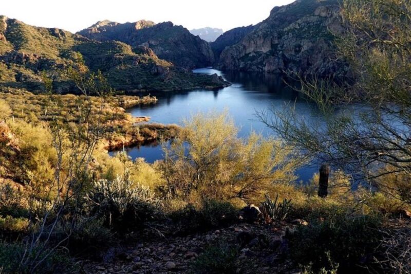 From Mesa: Self-Guided Kayaking Trip on Saguaro Lake - Spotting Wildlife Along the Shoreline