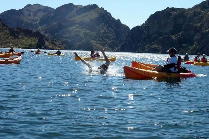 From Mesa: Self-Guided Kayaking Trip on Saguaro Lake - Who Will Enjoy This Kayaking Trip?