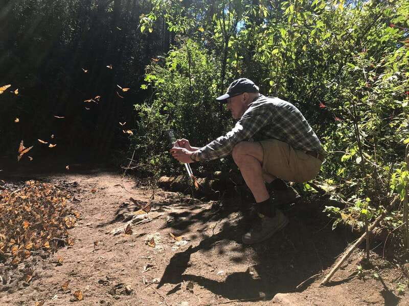 From Mexico City: 7-Day Monarch Butterfly Tour - Key Points