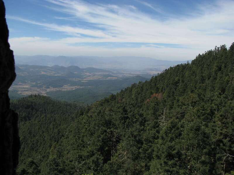 From Mexico City: 7-Day Monarch Butterfly Tour - Logistics and Group Size