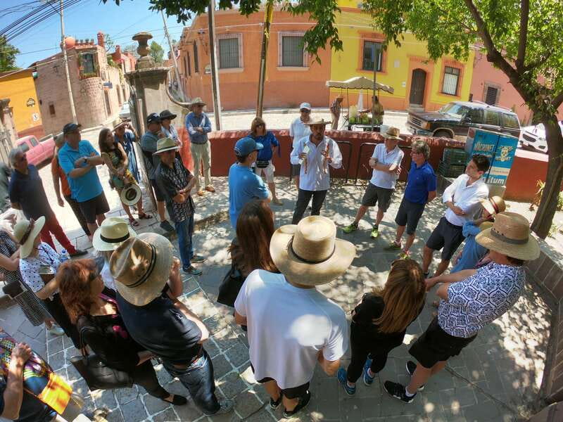 From Mexico City: Colonial San Miguel de Allende Day Tour - Walking Tour of San Miguel’s Colonial Streets