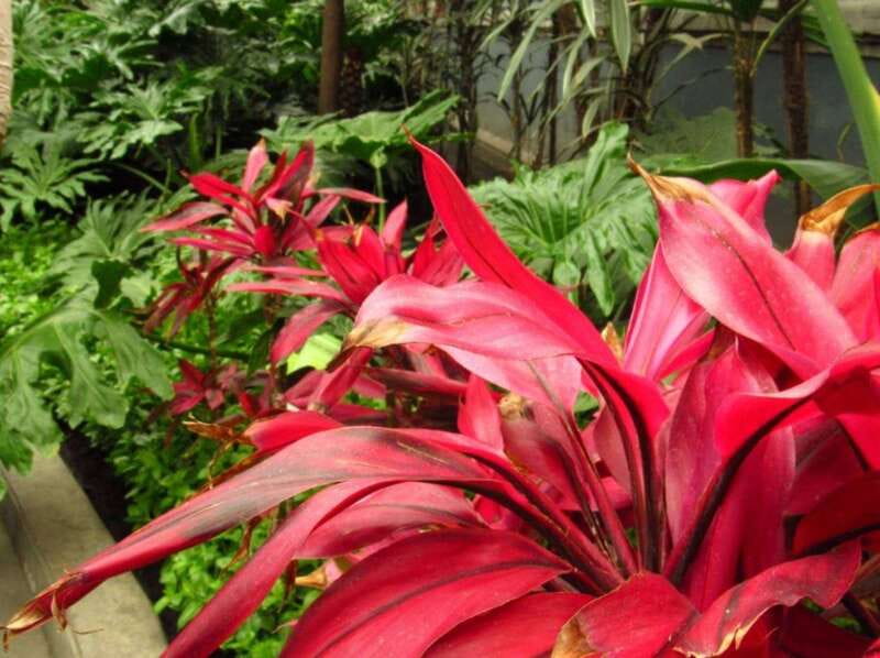 From Mexico City: Magic town Metepec and Toluca - Included Activities and Highlights