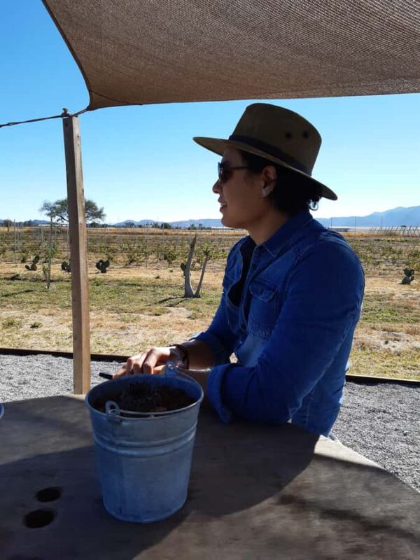 From Mexico City: Wine, Cheese, and Art Culinary Tour in Queretaro - Craft Beer Brewery and Tasting