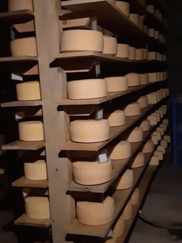 From Mexico City: Wine, Cheese, and Art Culinary Tour in Queretaro - Exploring Bernal and Its Iconic Monolith