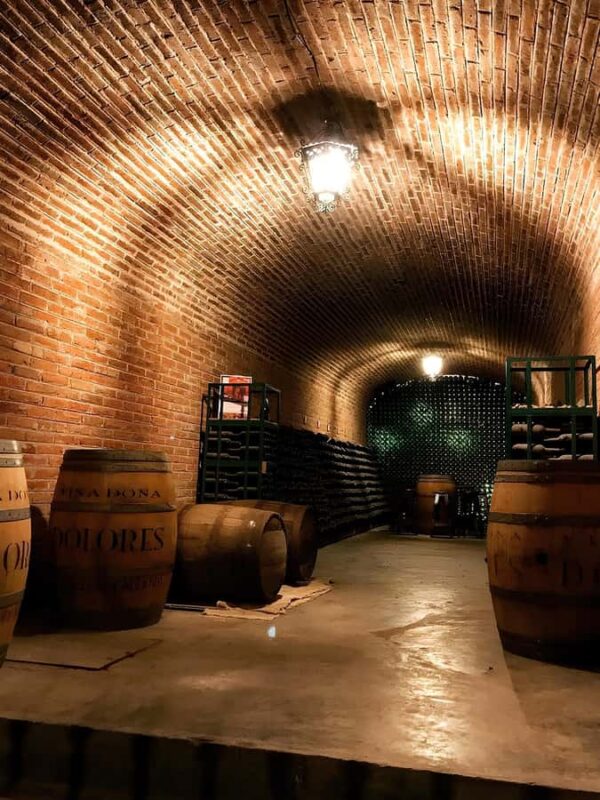 From Mexico City: Wine, Cheese, and Art Culinary Tour in Queretaro - Pacing and Duration of the Visit to Bernal