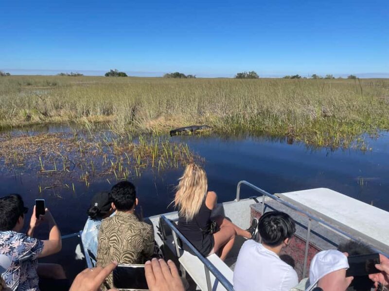 From Miami: Everglades Airboat Gator Spotting Tour - Exploring the Everglades Airboat Gator Spotting Tour from Miami