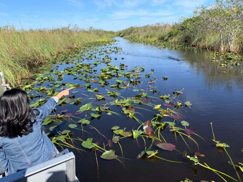 From Miami: Everglades Airboat Gator Spotting Tour - Final Thoughts on the Everglades Airboat Gator Spotting Tour