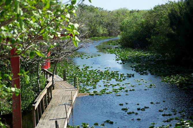 From Miami: Everglades Airboat, Wildlife Show, and Roundtrip Bus - Wildlife Encounters and the Alligator Show