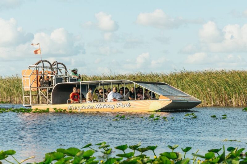 From Miami: Everglades Airboat, Wildlife Show & Bus Transfer - The Airboat Experience: Speed, Views, and Wildlife Sightings