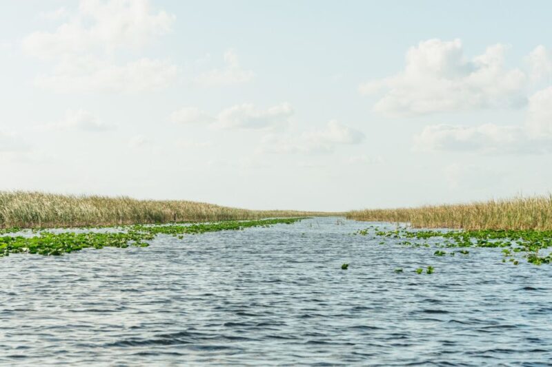 From Miami: Everglades Airboat, Wildlife Show & Bus Transfer - The Quality and Atmosphere of the Guides