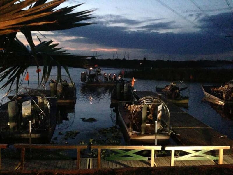 From Miami: Everglades at Night with Guided Airboat Tour - Wildlife Encounters at Night