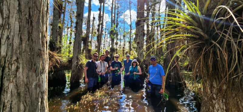 From Miami: Everglades Tour w/ Wet Walk, Boat Trips, & Lunch - Key Points