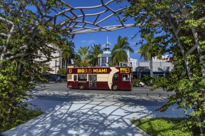 From Miami: Everglades, Wildlife Show, & Hop-on Hop-off Tour - Miami city exploration with the hop-on hop-off bus