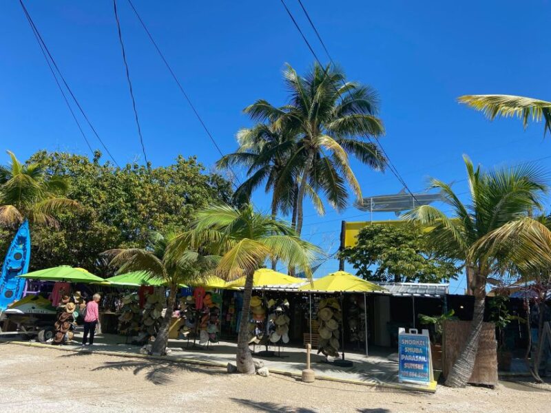 From Miami: Key Largo & Islamorada Private Open-Top Bus Tour - Key Points