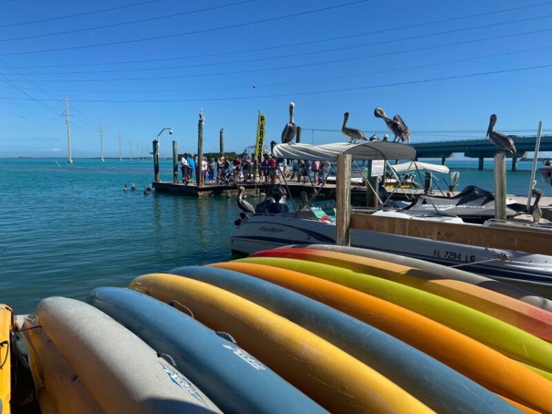 From Miami: Key Largo & Islamorada Private Open-Top Bus Tour - Convenient Transportation and Private Group Benefits
