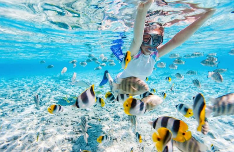 From Miami: Key West Day Trip with Narration - Departure and Transportation from Miami to the Florida Keys