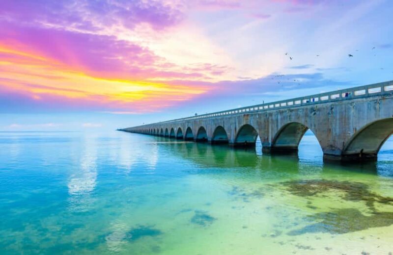 From Miami: Key West Day Trip with Narration - Visiting Key West’s Cultural and Natural Attractions