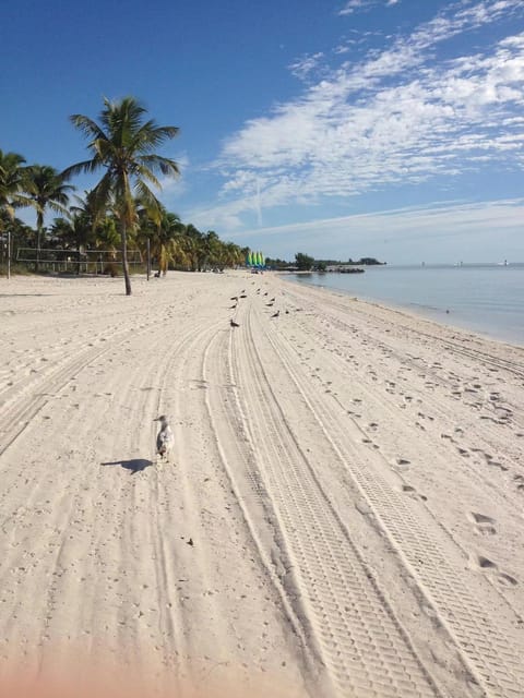 From Miami: Small Group Key West 1-Day Tour - Practical Logistics and Tour Inclusions