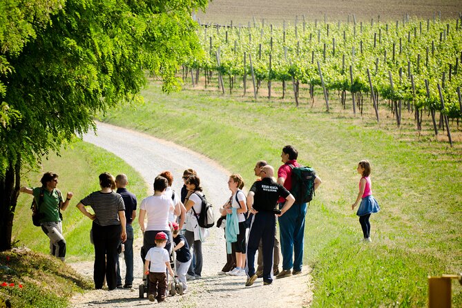 From Milan Full Day in Franciacorta 2 Wineries and Lunch - What Sets This Tour Apart?