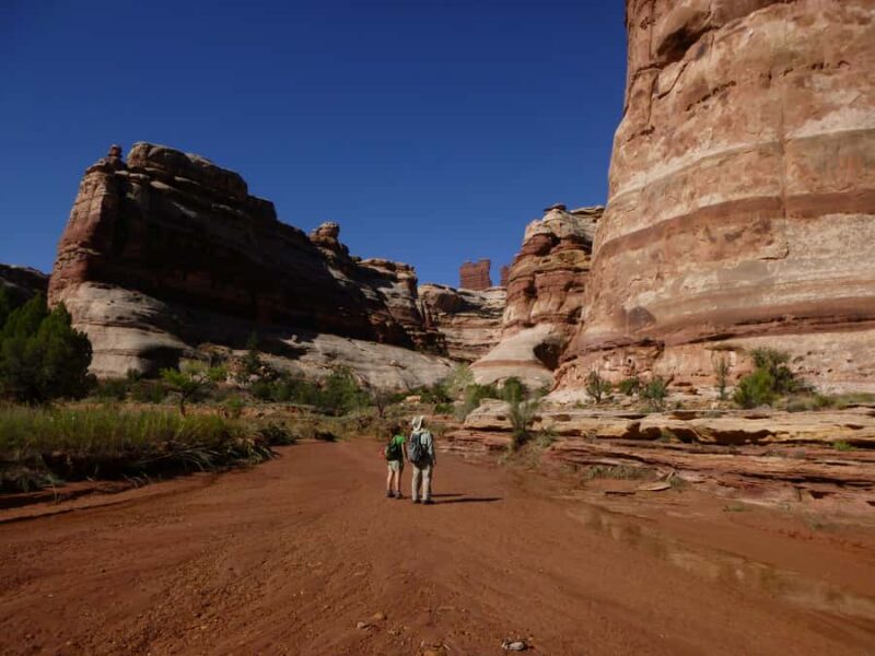 From Moab: 1-Day Horseshoe Canyon Exploration - Practical Details and Physical Requirements
