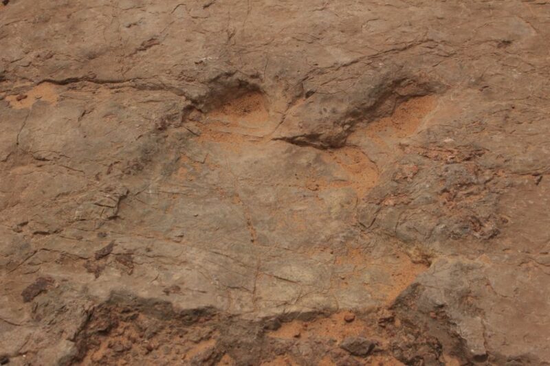 From Moab: Half-Day Arches National Park 4x4 Driving Tour - Highlights of the Short Hikes and Photo Stops