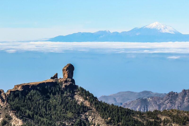 From Mogán/Maspalomas/Arguineguín: Gran Canaria Day Tour - Visiting an Aloe Vera Farm and Nature Stops