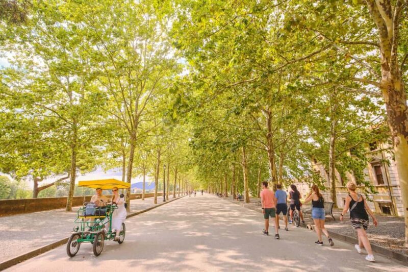 From Montecatini: Pisa & Lucca Day Full Day Tour - Tasting Buccellato Cake: A Sweet Slice of Lucchese Traditions