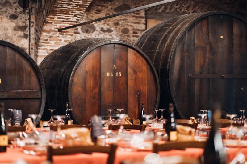 From Montecatini Terme: Wine Experience in Tuscan Farm - Easy Logistics and Small Group Atmosphere