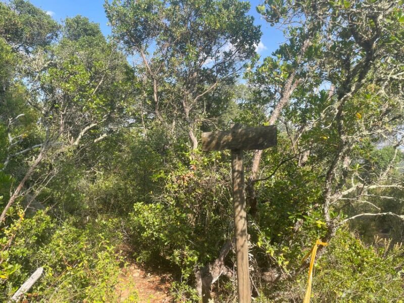 From Montemor or Évora: Guided Hike to Almendres Megalithic - Discover the Hidden Wonders of Portugal’s Megalithic Landscape