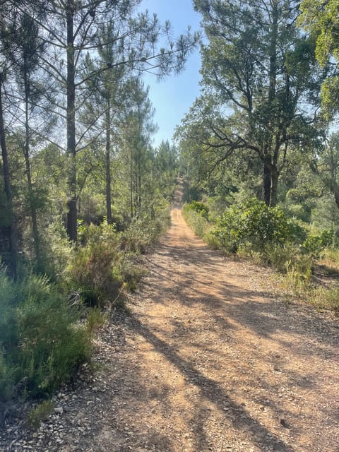 From Montemor or Évora: Guided Hike to Almendres Megalithic - The Route: From the Castle to Megalithic Marvels